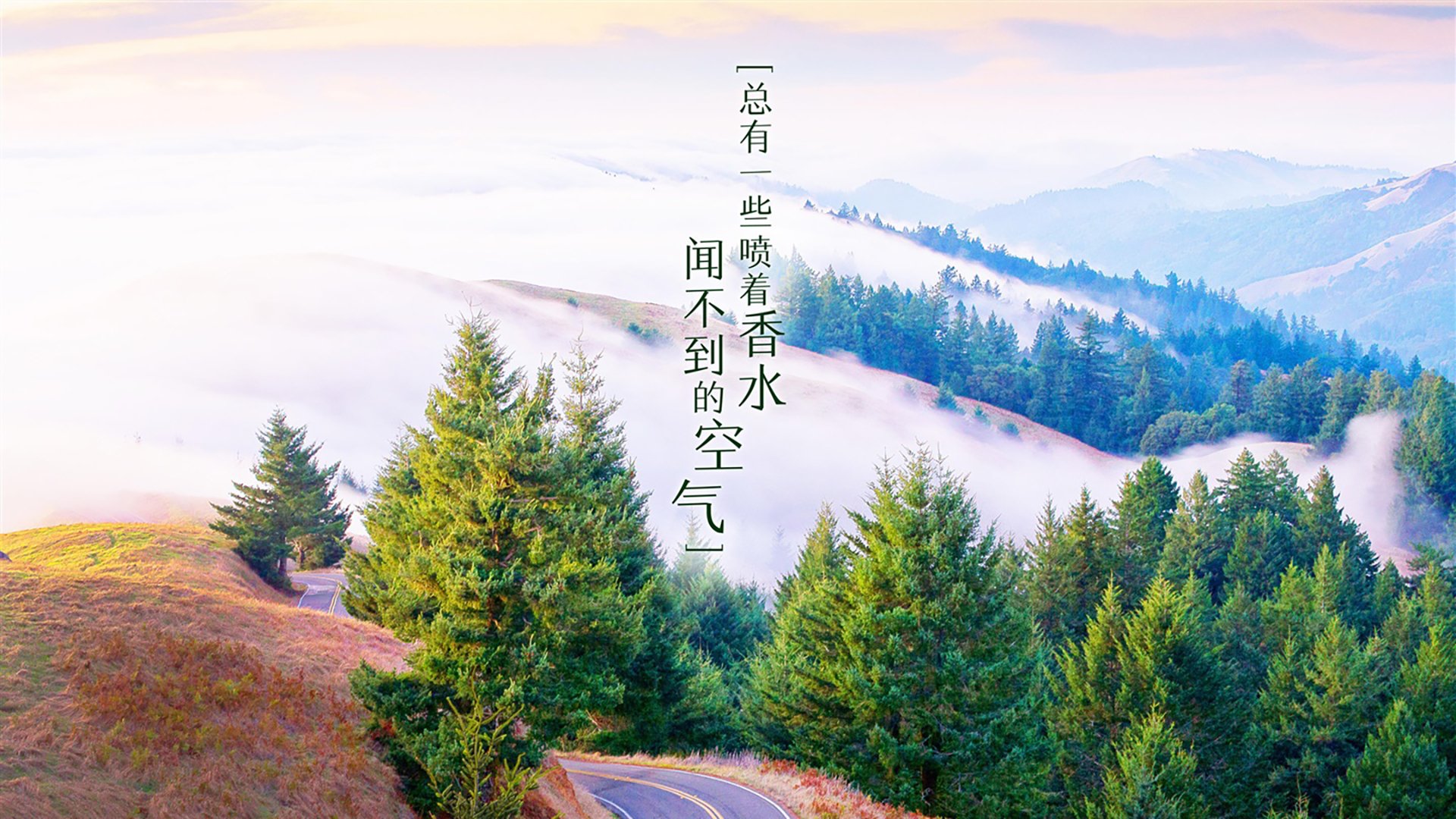 托桑·埃夫布奥姆万成为NBA未来之星，埃托奥布冯
