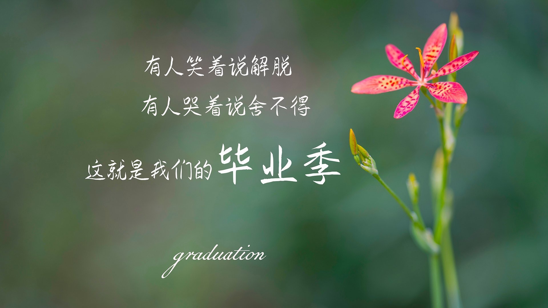 青训体系：械斗新潮流，打造未来篮球之星