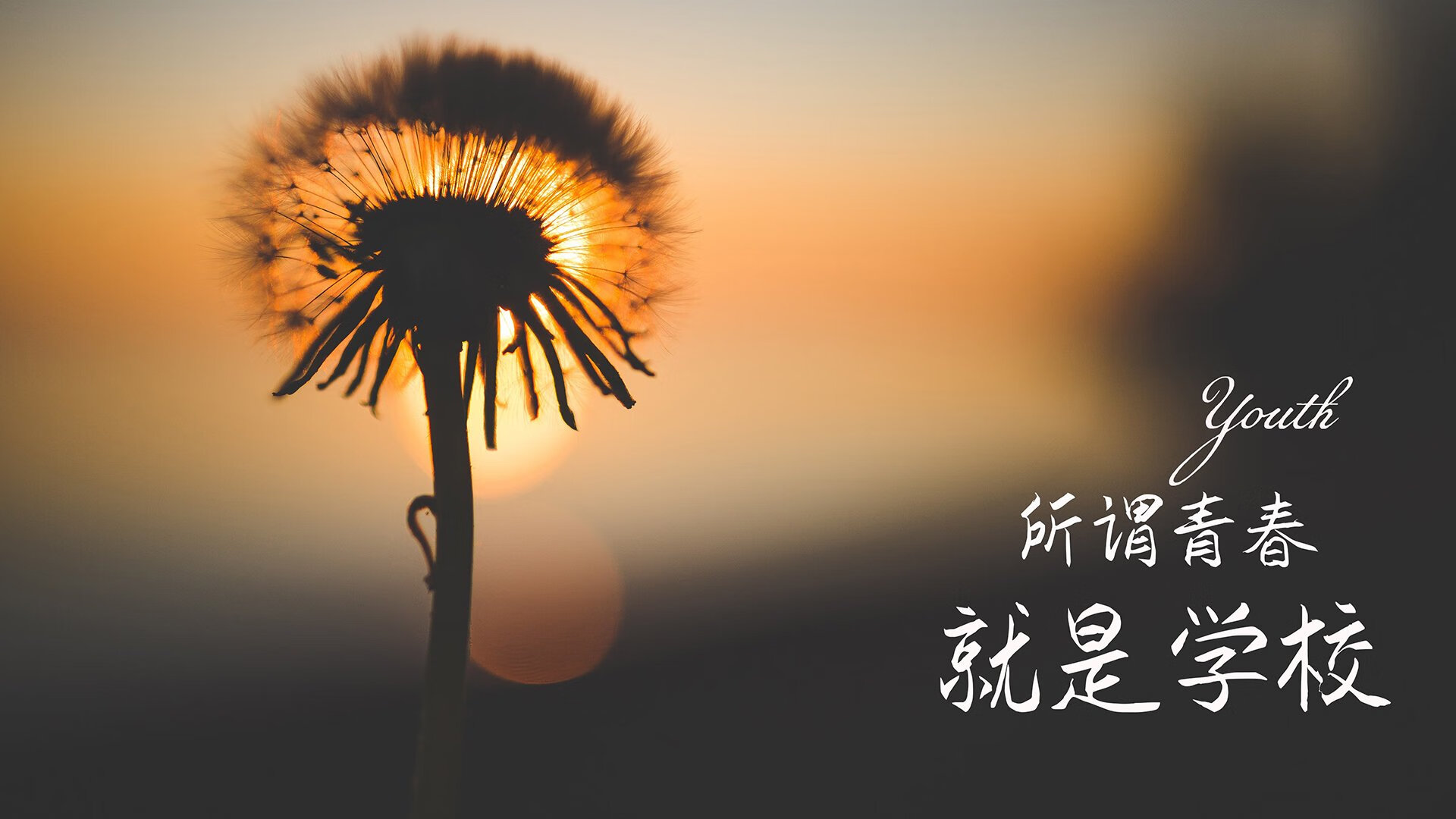 Aster年轻选手晋升主力阵容，aster 阵容