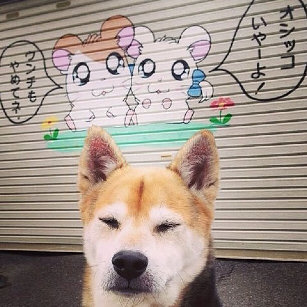 城市篮球发展指数首次发布用于评估各地篮球活跃程度,篮球的城市