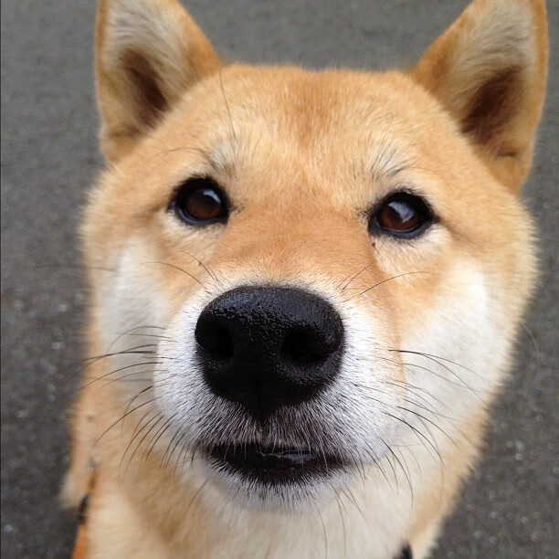 极限运动纪录片荣获国际奖项，极限运动冠军