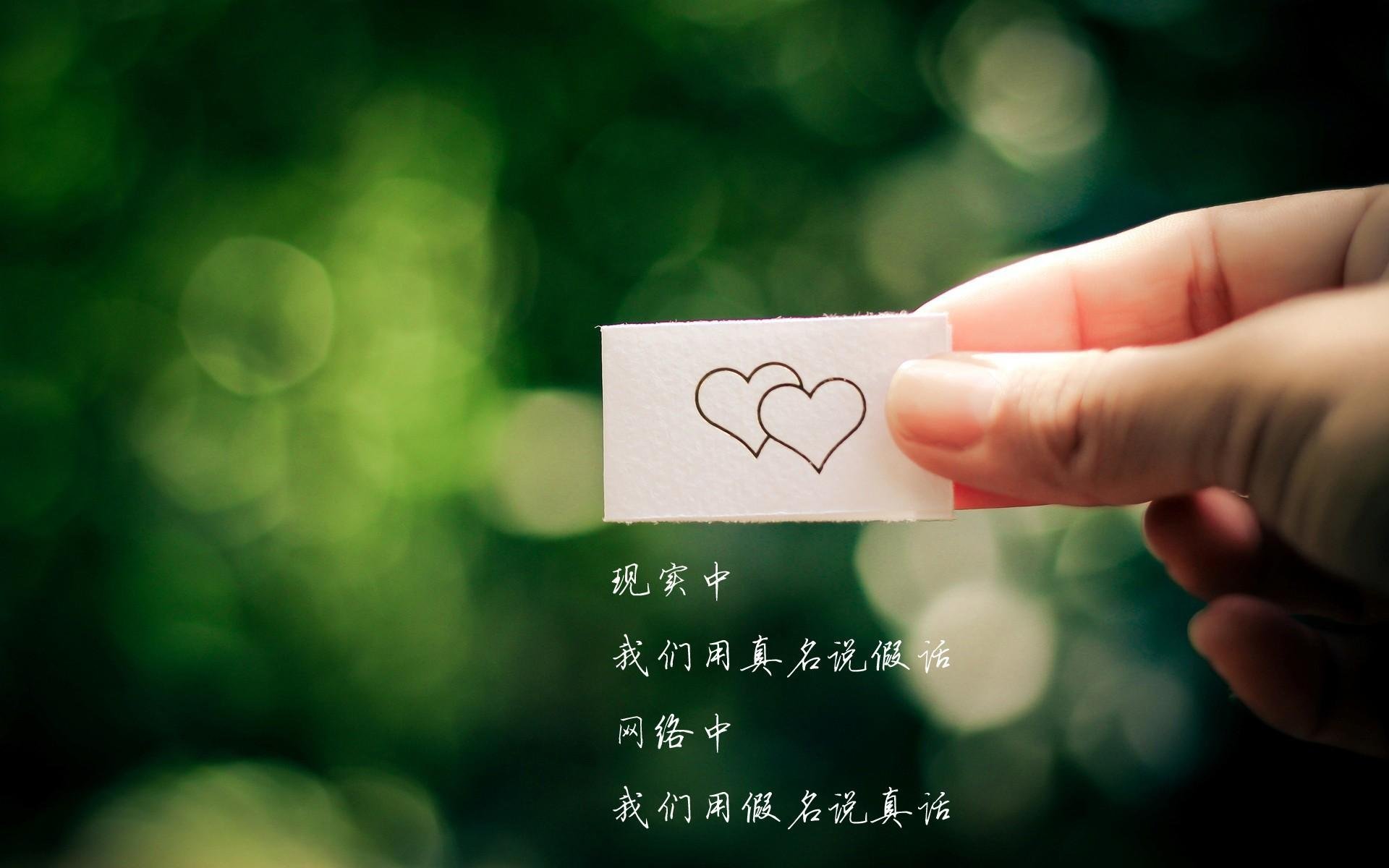 美洲杯星光闪耀：超级巨星的天赐表现，美洲杯冠军杯