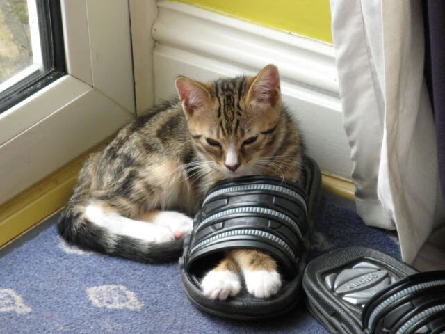 西甲超级射手：连续破门，场场精彩！，西甲 超级杯